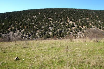 Прикрепленное изображение: A58DSC08278.jpg